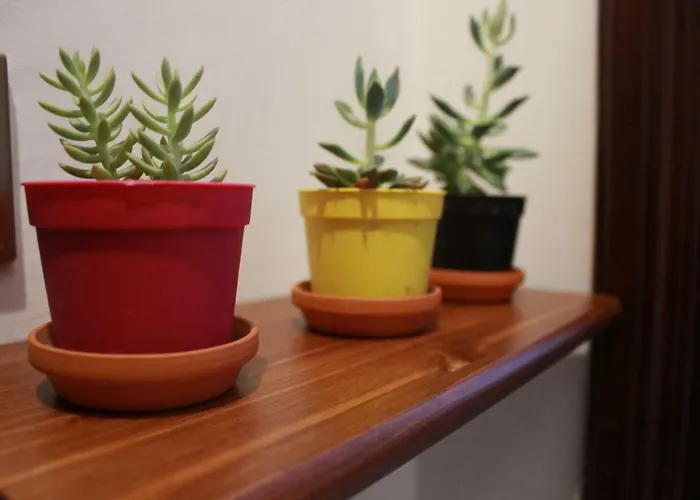 Biancocancello Sacrofano